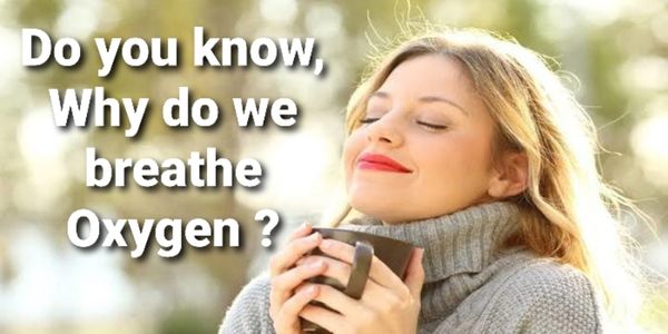 Ever you thought why we breathe oxygen ? | by Amrendra Nath | May, 2021 ...