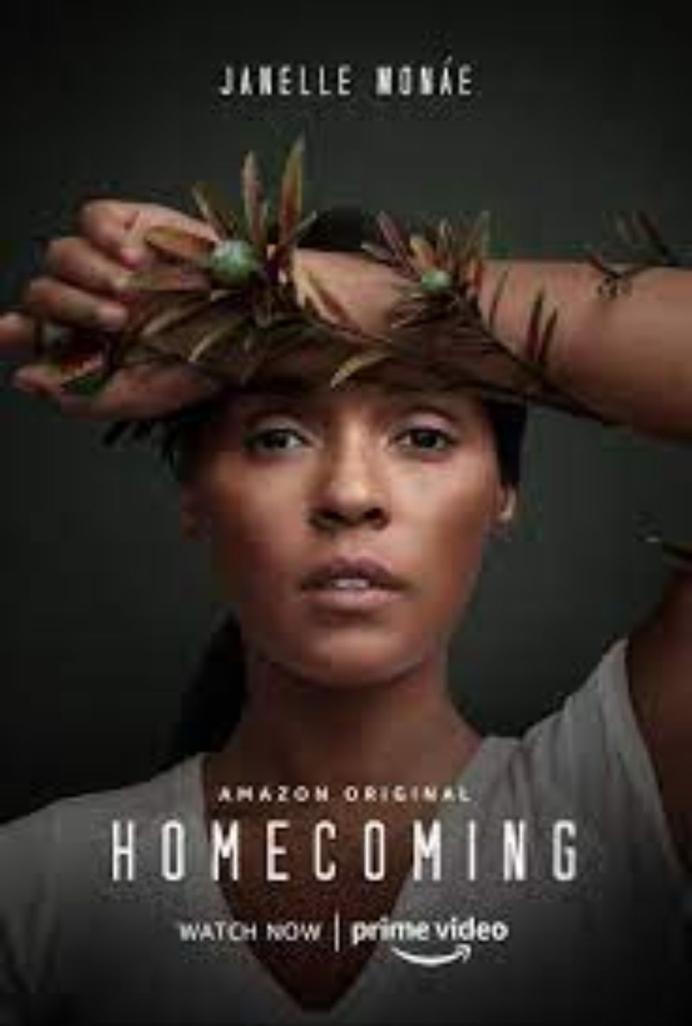 Homecoming (TV Series 2018– ) - IMDb