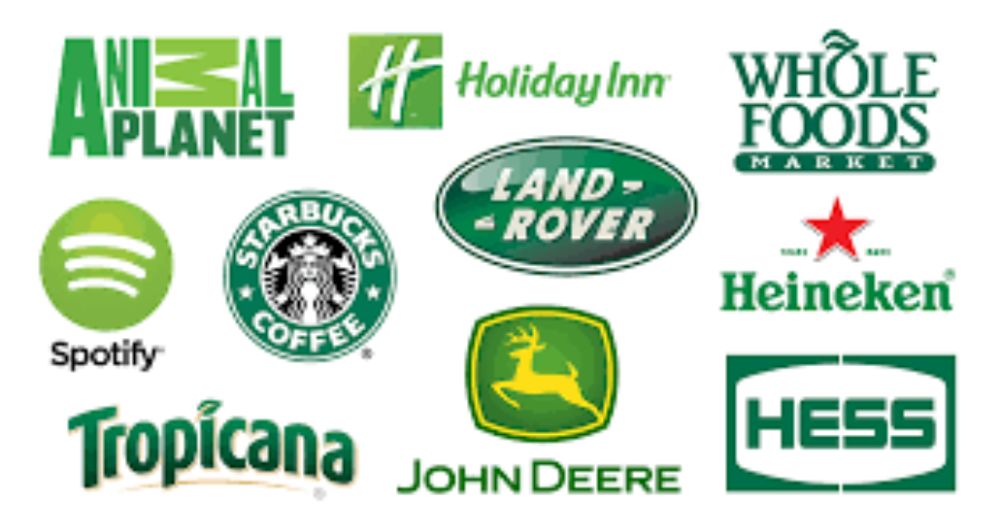 Growth & Money: Is a Green Logo Right for Your Brand? | Logo Maker