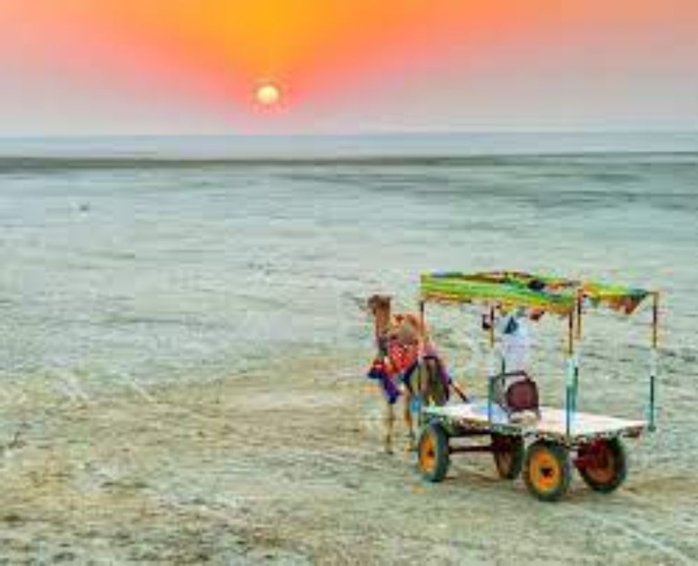 Check Out Our Essential Travel Guide Before Visiting The Rann Of Kutch