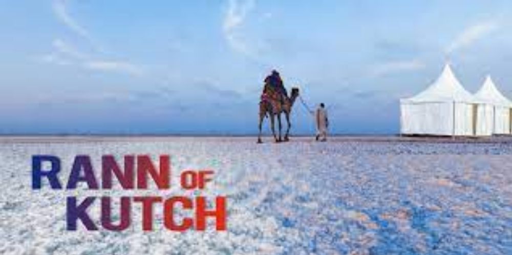 5 Great Reasons to visit Rann of Kutch during winters - RailYatri Blog