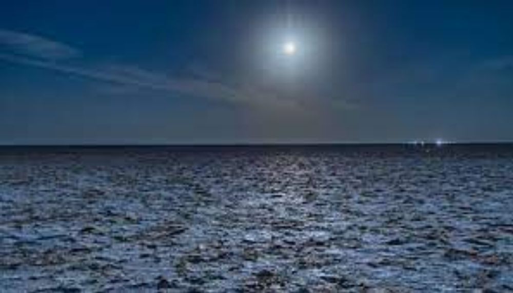 Rann Utsav Full Moon Event 2020-21 Guide For All