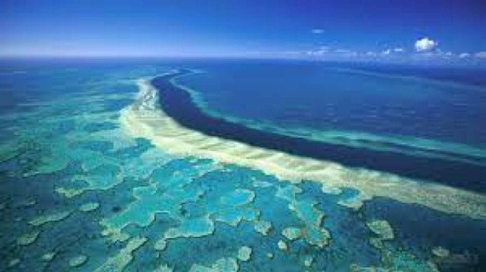 Great Barrier Reef Wallpapers Iphone - Great Barrier Reef Wallpaper Hd -  1920x1080 Wallpaper - teahub.io