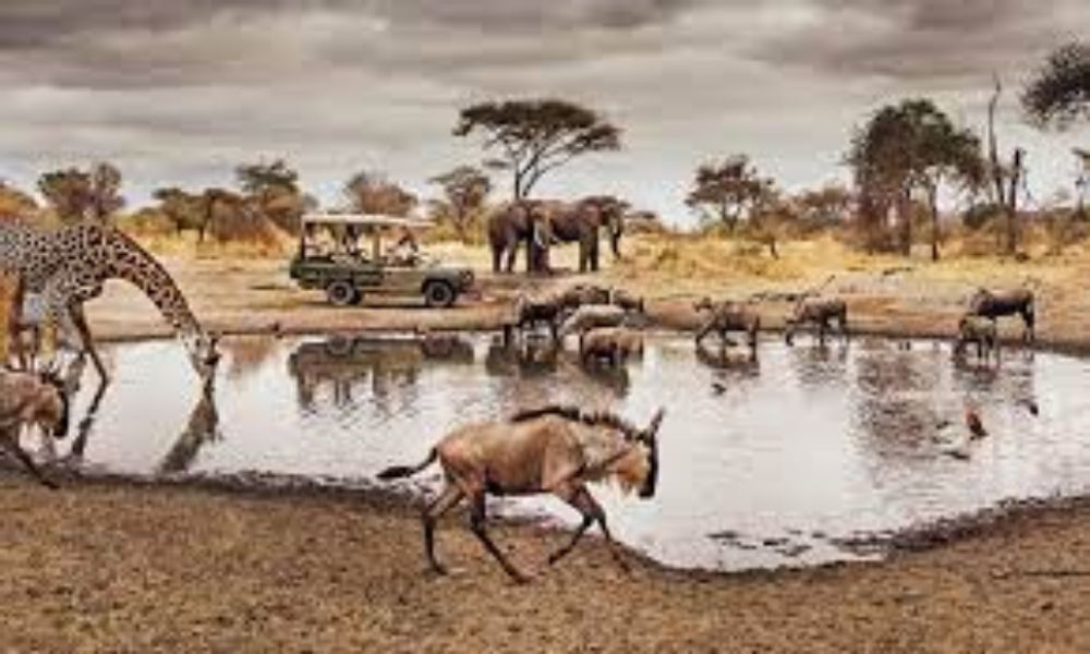 10 Facts About Serengeti National Park | Tanzania Safaris Tours