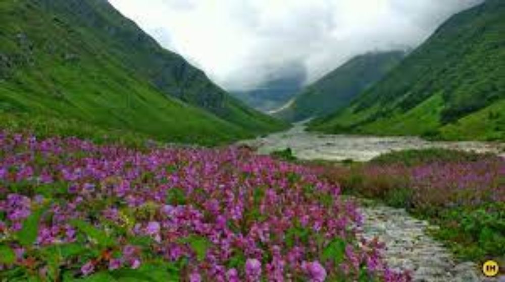 Valley of Flowers and Hemkund Sahib Trek - Indiahikes