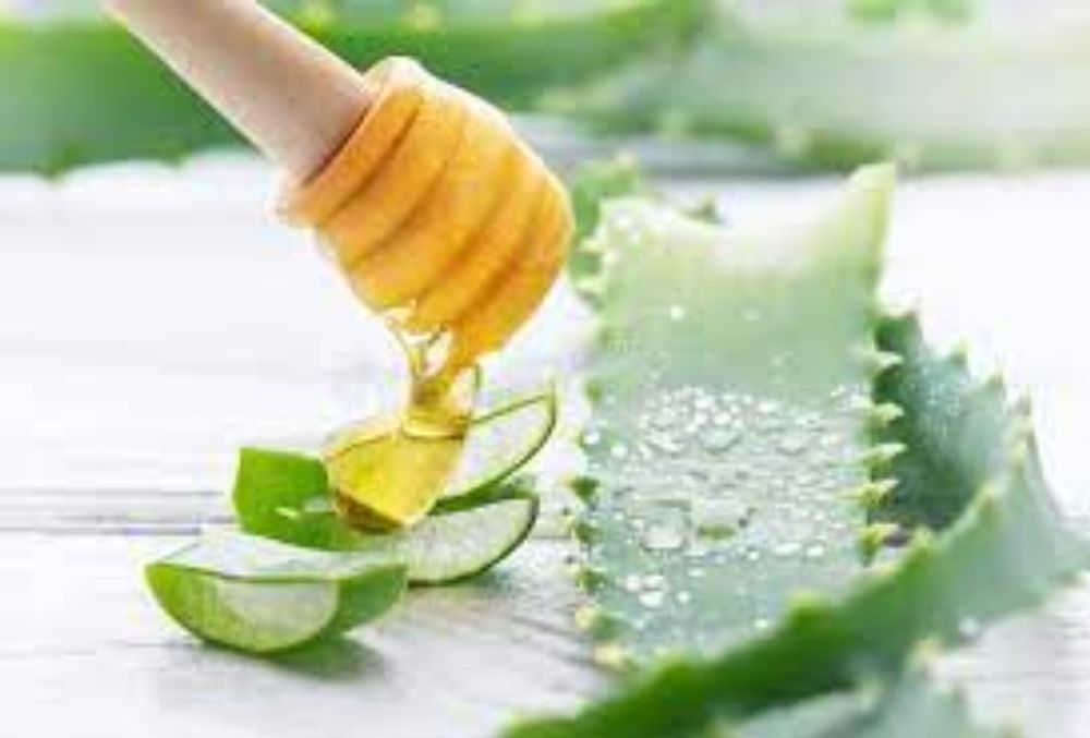 1,560 Aloe Vera Honey Stock Photos - Free & Royalty-Free Stock Photos from  Dreamstime